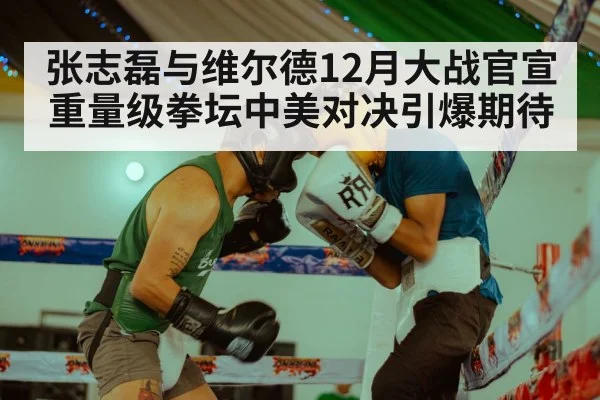 张志磊与维尔德12月大战官宣 重量级拳坛中美对决引爆期待